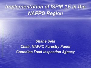 Implementation of ISPM 15 in the NAPPO Region