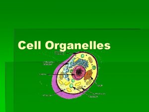 Cell Organelles Types of Cells Types of Cells