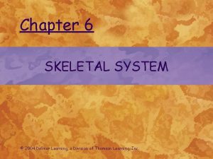 Chapter 6 SKELETAL SYSTEM 2004 Delmar Learning a