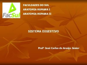 FACULDADES DO SUL ANATOMIA HUMANA II SISTEMA DIGESTIVO