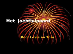 Het jachtluipaard Door Levie en Tom Orde n