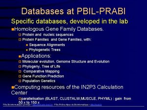 Databases at PBILPRABI Specific databases developed in the
