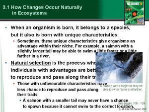 3 1 How Changes Occur Naturally in Ecosystems