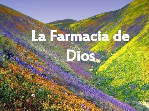 La Farmacia de Dios Se nos dijo que