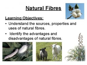 Natural Fibres Learning Objectives Understand the sources properties