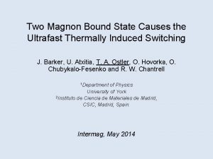 Two Magnon Bound State Causes the Ultrafast Thermally