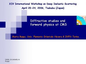 XIV International Workshop on Deep Inelastic Scattering April