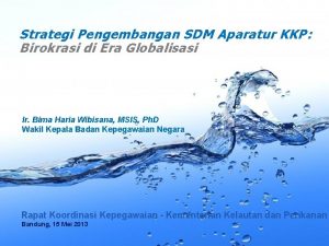 Strategi Pengembangan SDM Aparatur KKP Birokrasi di Era