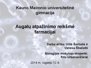 Kauno Maironio universitetin gimnazija Augal atpainimo reikm farmacijai