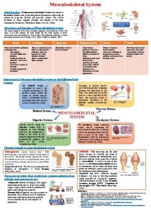 Musculoskeletal System Introduction The human musculoskeletal system also