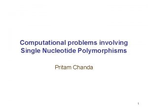 Computational problems involving Single Nucleotide Polymorphisms Pritam Chanda