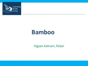 Bamboo Vigyan Ashram Pabal What is bamboo Bamboos