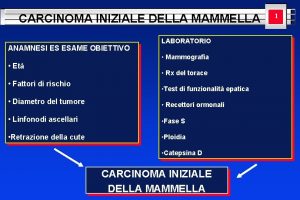 CARCINOMA INIZIALE DELLA MAMMELLA ANAMNESI ES ESAME OBIETTIVO