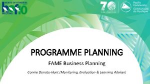 PROGRAMME PLANNING FAME Business Planning Connie DonatoHunt Monitoring