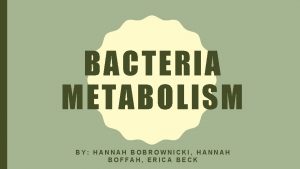 BACTERIA METABOLISM BY HANNAH BOBROWNICKI HANNAH BOFFAH ERICA