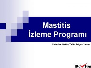 Mastitis zleme Program Veteriner Hekim Tahir Seluk Yavuz