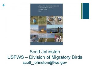 Scott Johnston USFWS Division of Migratory Birds scottjohnstonfws