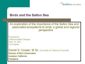 Birds and the Salton Sea An exploration of