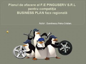 Planul de afacere al F E PINGUSERV S