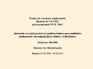 Proiect de cercetare exploratorie finantat de CNCSIS prin