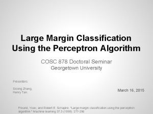 Margin perceptron
