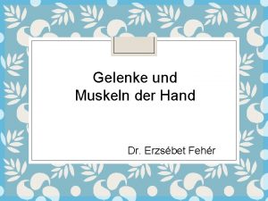 Gelenke und Muskeln der Hand Dr Erzsbet Fehr
