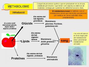 Conjunt de processos qumics que es produeixen en