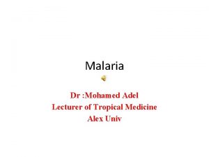 Malaria Dr Mohamed Adel Lecturer of Tropical Medicine