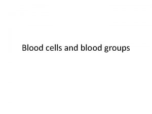 Blood cells and blood groups Erythrocytes red blood