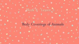 Body coverings of animals