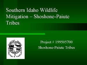 Southern Idaho Wildlife Mitigation ShoshonePaiute Tribes Project 199505700