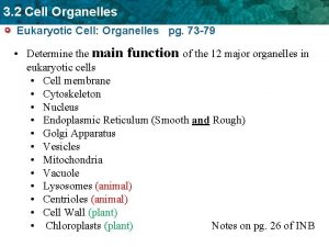 3 2 Cell Organelles Eukaryotic Cell Organelles pg