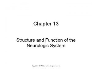 Chapter 13 Structure and Function of the Neurologic