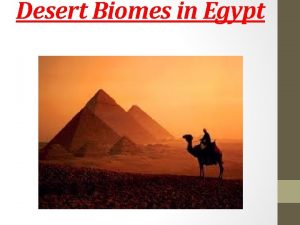 Desert Biomes in Egypt Where Egypt is located