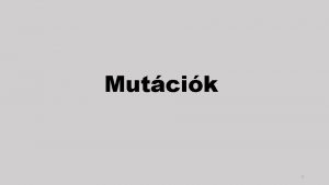 Mutcik 1 Mutci A mutci az rkt anyag