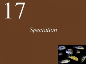 17 Speciation Chapter 17 Speciation Key Concepts 17