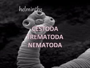 helminths CESTODA TREMATODA NEMATODA Helimenths are worm like