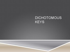 DICHOTOMOUS KEYS WHAT IS A DICHOTOMOUS KEY When