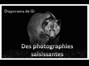 Diaporama de Gi Ces animaux sauvages se dvoilent