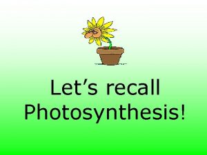 Lets recall Photosynthesis Photosynthesis Explain the diagram below