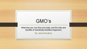 GMOs What they are how they are made