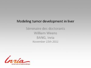 Modeling tumor development in liver Sminaire des doctorants