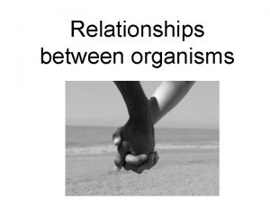Relationships between organisms Connections between organisms All living