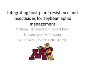 Integrating hostplant resistance and insecticides for soybean aphid