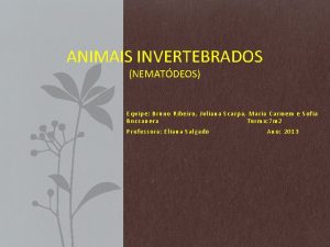 ANIMAIS INVERTEBRADOS NEMATDEOS Equipe Bruno Ribeiro Juliana Scarpa