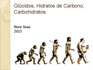 Glcidos Hidratos de Carbono Carbohidratos Nora Sosa 2015