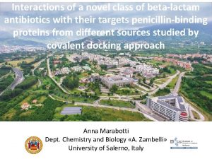 Interactions of a novel class of betalactam antibiotics