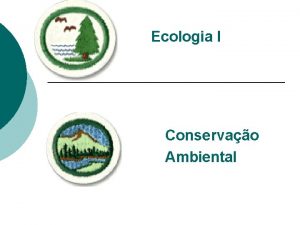 Ecologia I Conservao Ambiental Leis Art 225 CF88