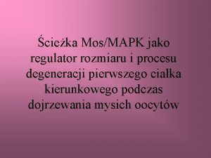 cieka MosMAPK jako regulator rozmiaru i procesu degeneracji