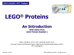 LEGO LESSON 1 PPT Proteins LEGO Proteins An